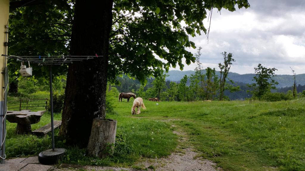 Gostilna Stara Posta Hotell Podkraj Exteriör bild